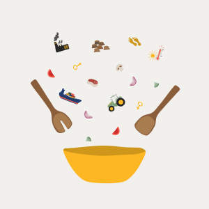 Uretfærdig Middag – et rollespil om klima og køn